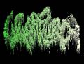 Wharflurch - Discography (2019 - 2021)