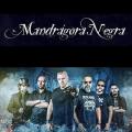 Mandrágora Negra - Discography (2012 - 2019)