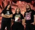 Blasted Pancreas - Discography (2008 - 2011)
