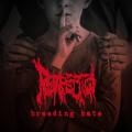 Reinfection - Breeding Hate (Lossless)