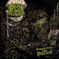 Iron Flesh - Summoning The Putrid