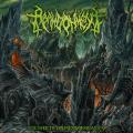 Abandonment - Focused to Imminent Desolation