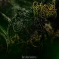 Fetid Bowel Infestation - Born Into Darkness
