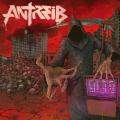 Antreib - 9199