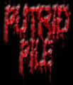 Putrid Pile - Discography (2001 - 2020)