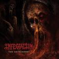 Infestation - The Antecedent (Compilation)