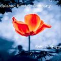 Galahad Electric Company - Soul Therapy