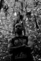 Impious Throne - Discography (2021)