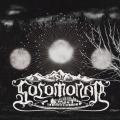 Solomonar - VII