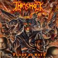 Thrashock - Flags Of Hate