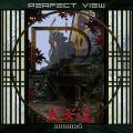 Perfect View - Bushido (Lossless)