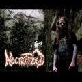 Necrotized - Discography (2015 - 2023)