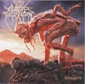 Cattle Decapitation - Terrasite (Lossless)