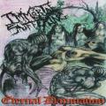 Immortal Suffering - Eternal Damnation (Compilation)