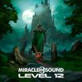 Miracle Of Sound - Level 12