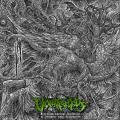 Vomitrocious - Interdimensional Depletion Of Demonic Soul Fragments (Promo)