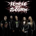 Temple Of Scorn - Discography (2021 - 2023) (Losselss)