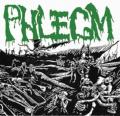 Phlegm - Consumed by the Dead (Compilation) (Lossless)