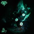 Asylum TX - Cultus Inoxia