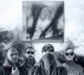 Antrisch - Discography (2021 - 2026) (Lossless)