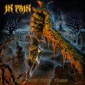 In Pain - My Knife Cuts Flesh