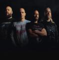 In Malice's Wake - Discography (2005 - 2026)