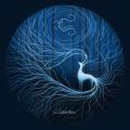 Cairiss - Wilderness (Lossless)