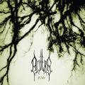 Alverg - Elde