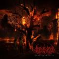 Left to Suffer - Unwelcome Guest (Lossless)