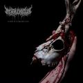Mental Cruelty - Echoes Of A Forlorn Land (Lossless)