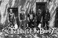 The Day of the Beast - Discography (2008 - 2021)