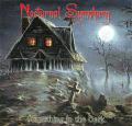 Nocturnal symphony - Something in the Dark (ep)