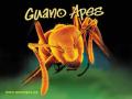 Guano Apes - Дискография (1997 - 2007)