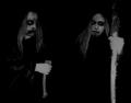 Noenum - Discography