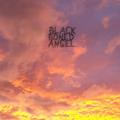 Black Boned Angel - The End