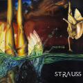Strauss - Strauss